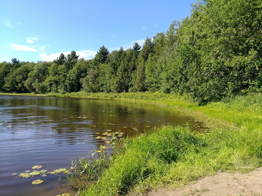 Parc-nature de la MRC dActon | 611 Rang de la Carrière, Upton, QC J0H 2E0, Canada | Phone: (450) 549-5611