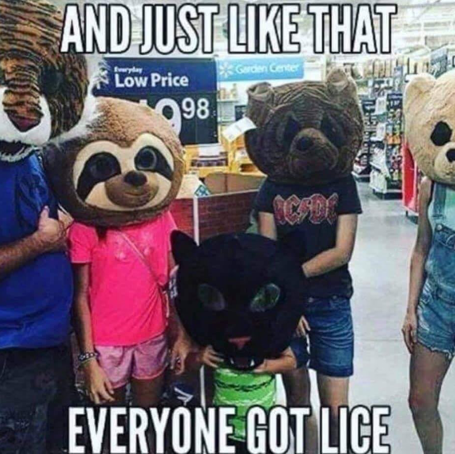 Lice Squad NL | 16 Durdle Dr, Goulds, NL A1S 1A8, Canada | Phone: (709) 325-5423