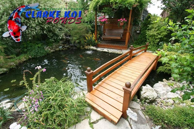 Clarke Koi Ponds inc | 763 Warden Ave, Scarborough, ON M1L 4B7, Canada | Phone: (416) 757-6328
