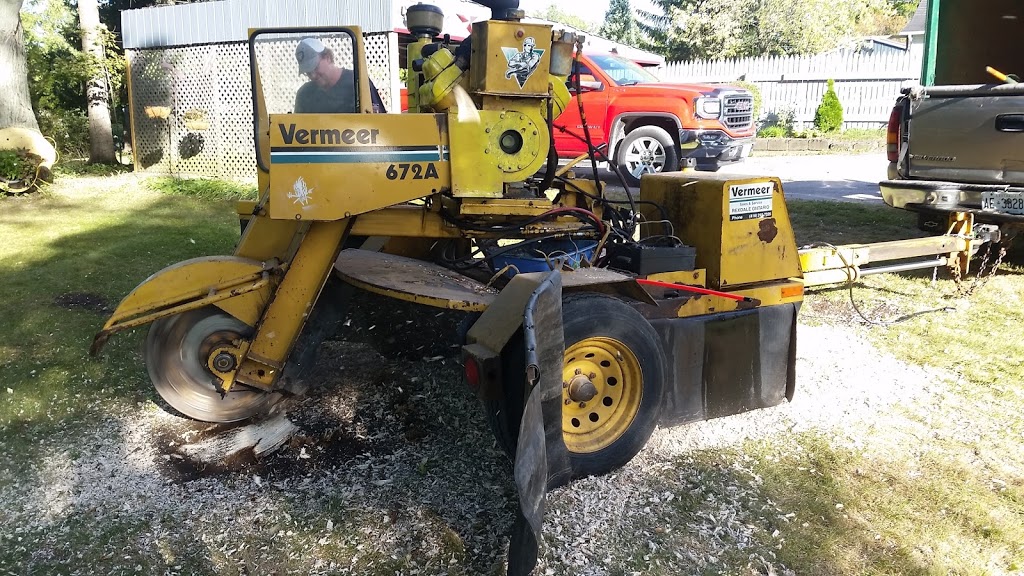 AJL Tree Service | 1891 Bowmanton Rd #2, Roseneath, ON K0K 2X0, Canada | Phone: (289) 829-1151