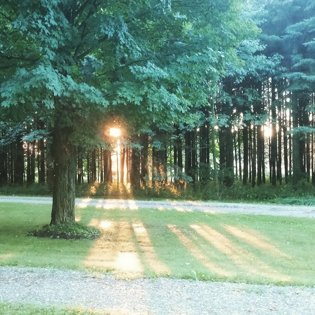 Stanstead House Concerts Network - SHCN | 213 Rue Lavigne, Shefford, QC J2M 1W4, Canada | Phone: (819) 238-1470
