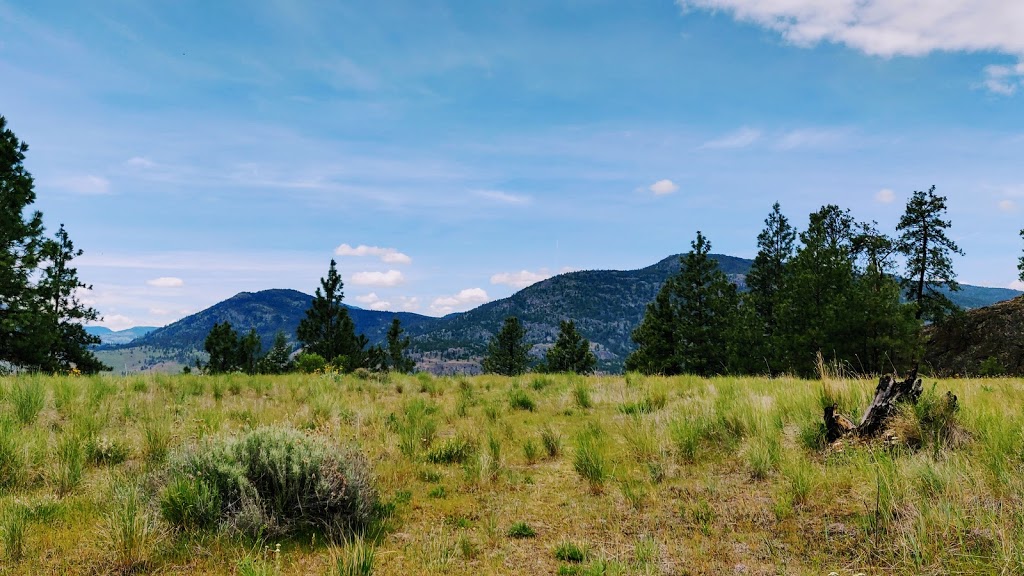 Skaha Bluffs Parking Lot | Smythe Dr, Penticton, BC V2A 8W6, Canada
