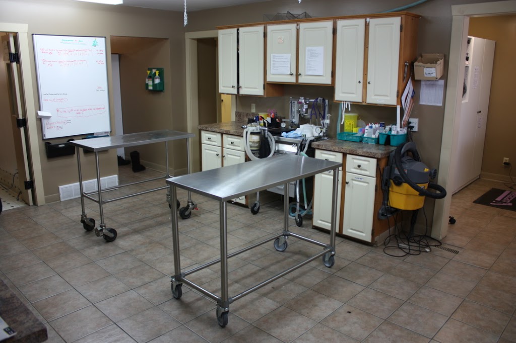 Airdrie Animal Clinic | 117 East Lake Crescent NE #101, Airdrie, AB T4A 2H6, Canada | Phone: (403) 948-3619