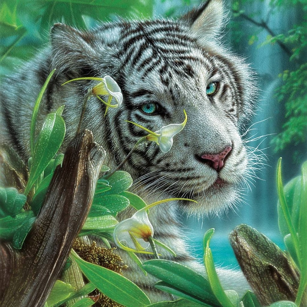 Puzzles From Polo! | Lyle Dr, Bowmanville, ON L1C 0V6, Canada | Phone: (289) 996-1923
