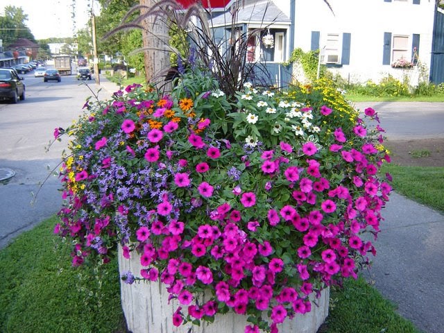 Penney Gardens Nursery | 133 Rue Main, Saint-Lazare, QC J7T 2H9, Canada | Phone: (450) 458-5546