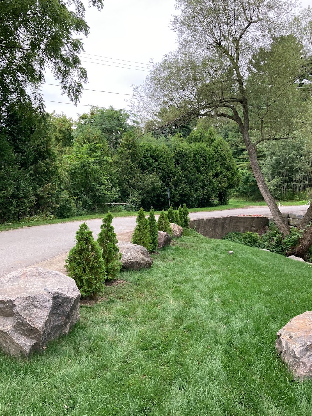 Sideline Tree Service | 3822 Kingston 2, Gananoque, ON K7G 2V5, Canada | Phone: (613) 540-3121