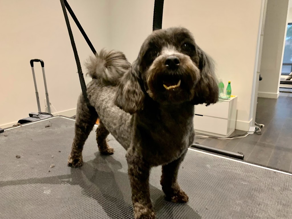 Wooflet Dog Grooming | 9218 Yonge St Unit 6, Richmond Hill, ON L4C 7A2, Canada | Phone: (416) 666-8714