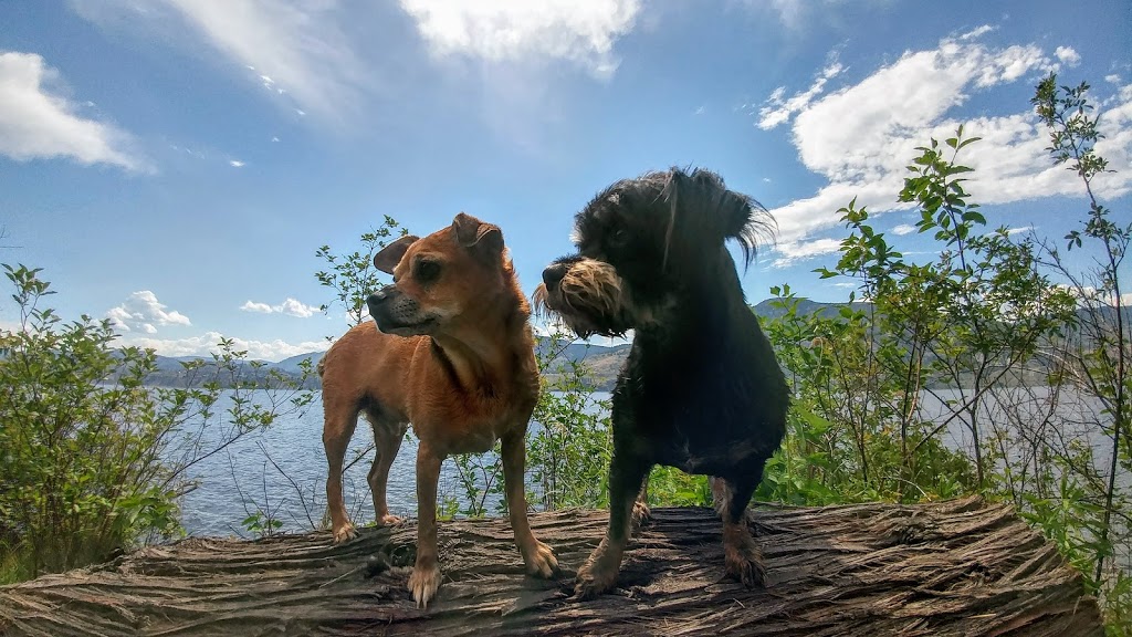 Dog Park beach | 4850-4900 Lakeside Rd, Penticton, BC V2A 8W6, Canada