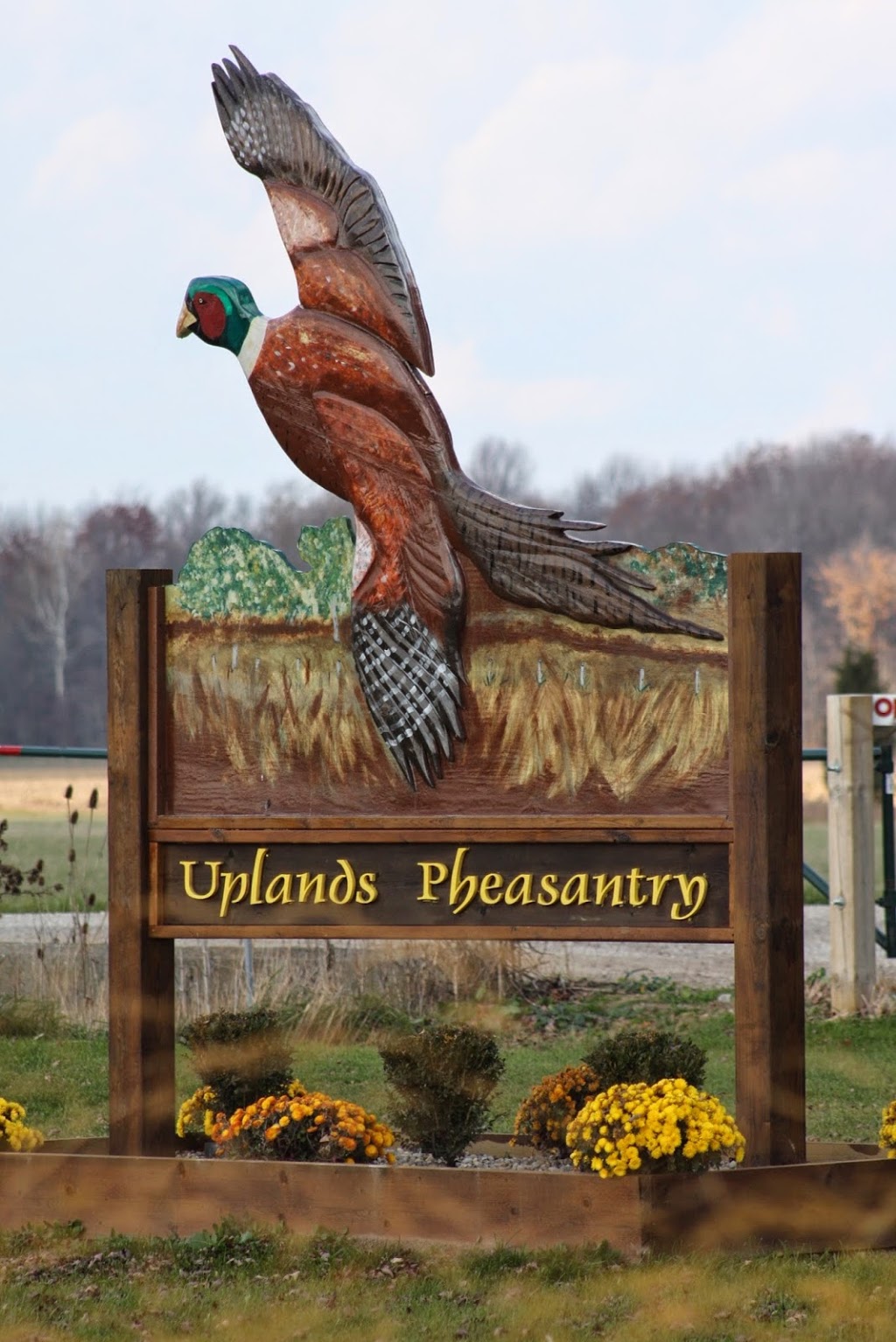 Uplands Pheasantry | 6282 Fleming Rd, Camlachie, ON N0N 1E0, Canada | Phone: (519) 542-4173