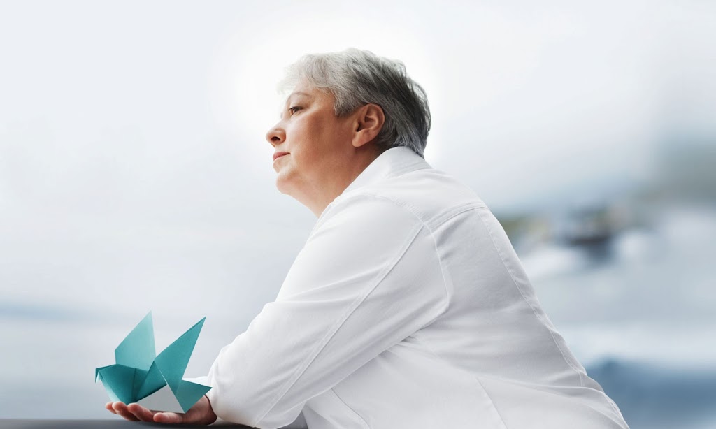 Hospice Buffalo | 225 Como Park Blvd, Cheektowaga, NY 14227, USA | Phone: (716) 686-8077