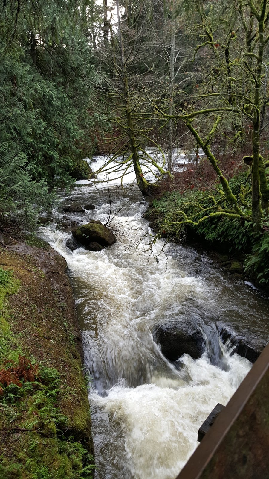 Wittys Lagoon Regional Park - Main Parking Lot | 4100 Metchosin Rd, Victoria, BC V9C 3Z6, Canada