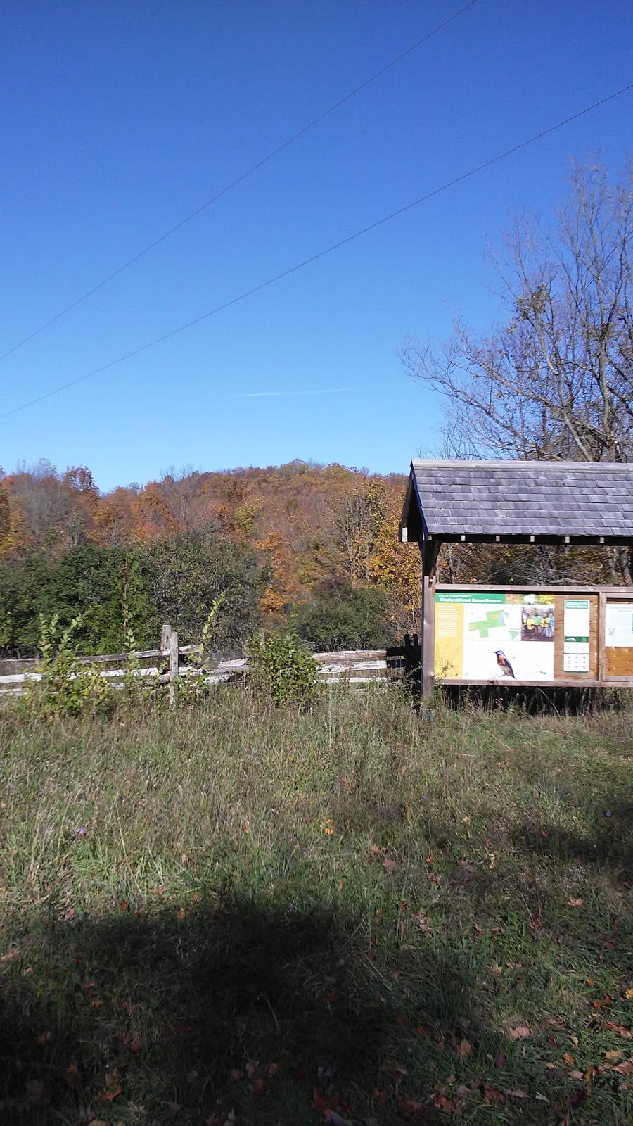 Kinghurst Nature Reserve | 175195 Concession Rd 6, Elmwood, ON N0G 1S0, Canada | Phone: (800) 440-2366