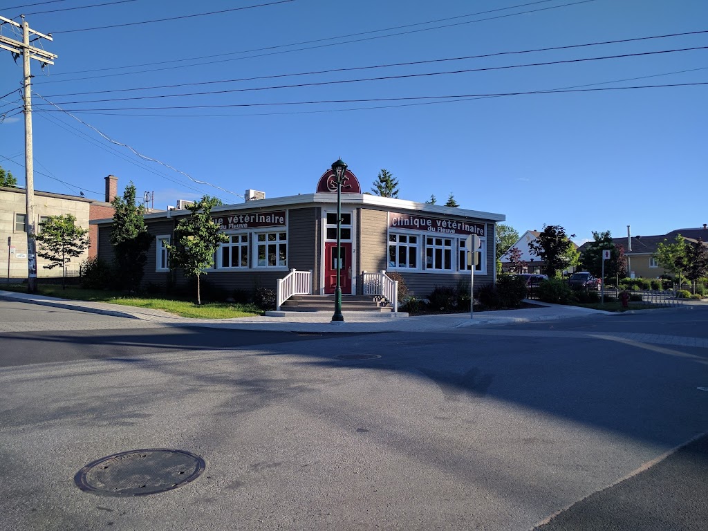Clinique Veterinaire De Fleuve | 2 Rue Notre Dame O, Trois-Pistoles, QC G0L 4K0, Canada | Phone: (418) 851-2645