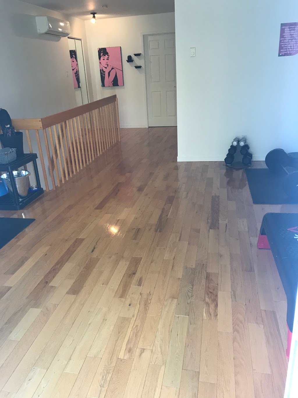 Thick and Curvy Fitness | Pierrefonds, QC, Canada | Phone: (514) 267-5851