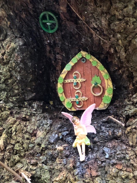 Enchanted Forest Trail | 2050 Benson Rd, Point Roberts, WA 98281, USA