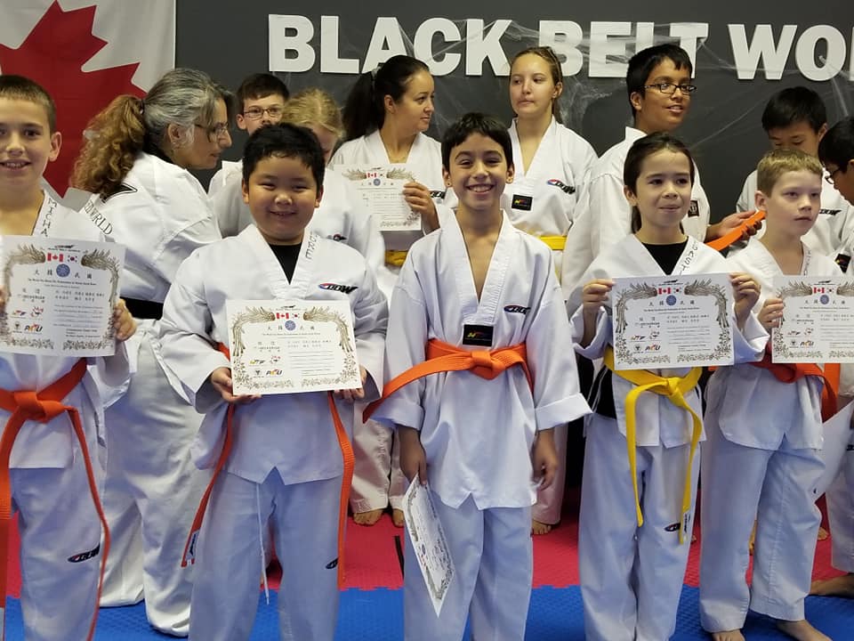 Black Belt World Barrie East | 201 Hurst Dr #6, Barrie, ON L4N 8K8, Canada | Phone: (705) 812-8007