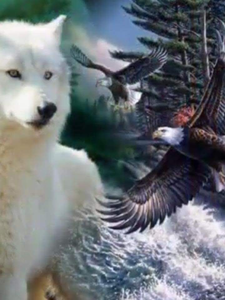 Three Valleys Veterinary Svc | 781 BC-97, Kaleden, BC V0H 1K0, Canada | Phone: (250) 497-6127