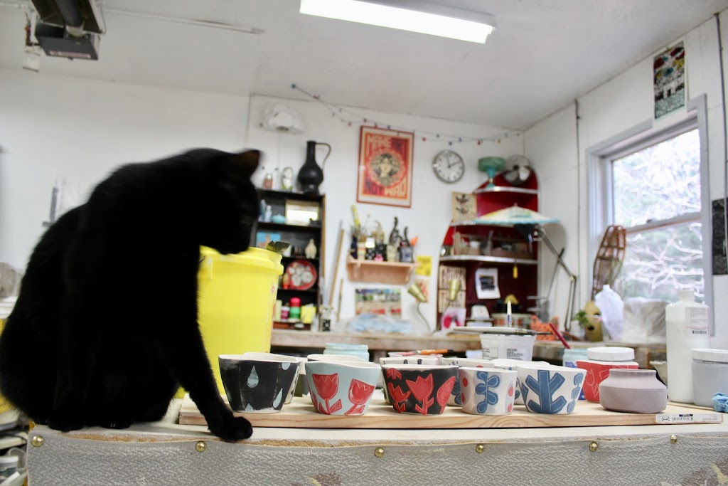 Blackbird Pottery | 5843 Gelert Rd, Dysart et al, ON K0M, Canada | Phone: (705) 457-4619