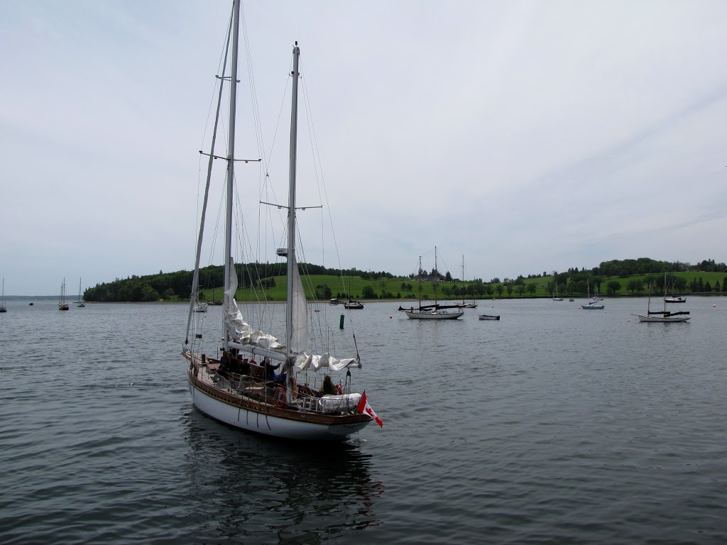Star Charters | 124 Bluenose Dr, Lunenburg, NS B0J 2C0, Canada | Phone: (902) 634-3535