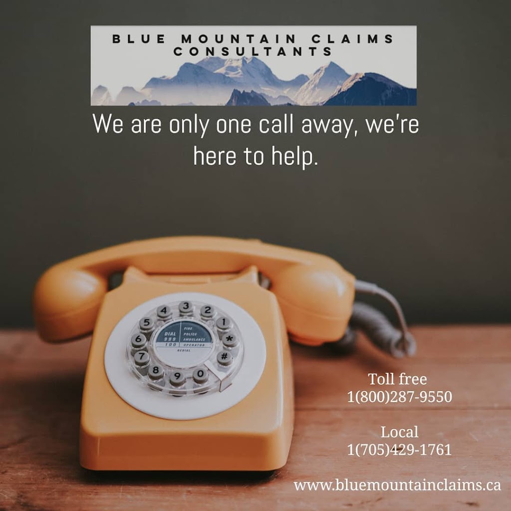 Blue Mountain Claims Consultants | 394 Golf Course Rd, Wasaga Beach, ON L9Z 1S5, Canada | Phone: (705) 429-1761