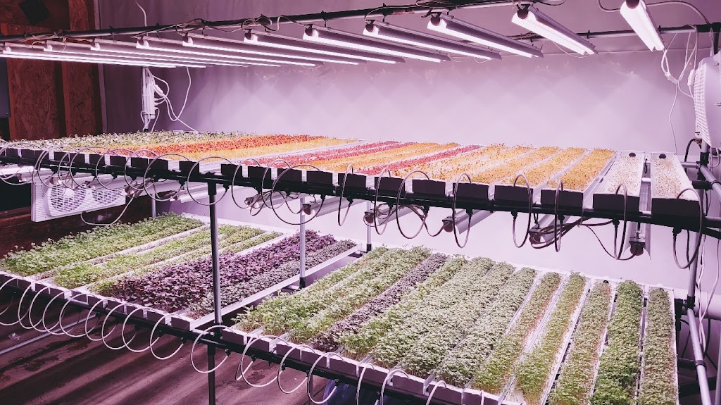 Leaf Sweets Urban Farm | Oxford St, Sussex, NB E4E 1Y9, Canada | Phone: (506) 651-4326