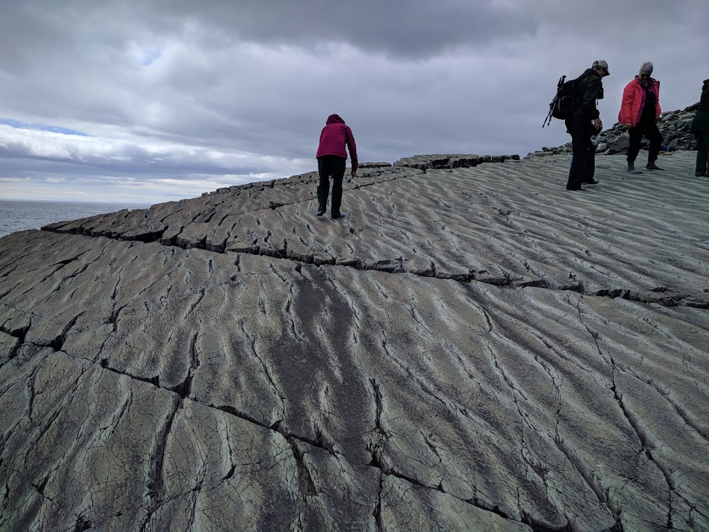 Edge of Avalon Interpretation Centre | NL-10, Portugal Cove South, NL A0A 4B0, Canada | Phone: (709) 438-1100