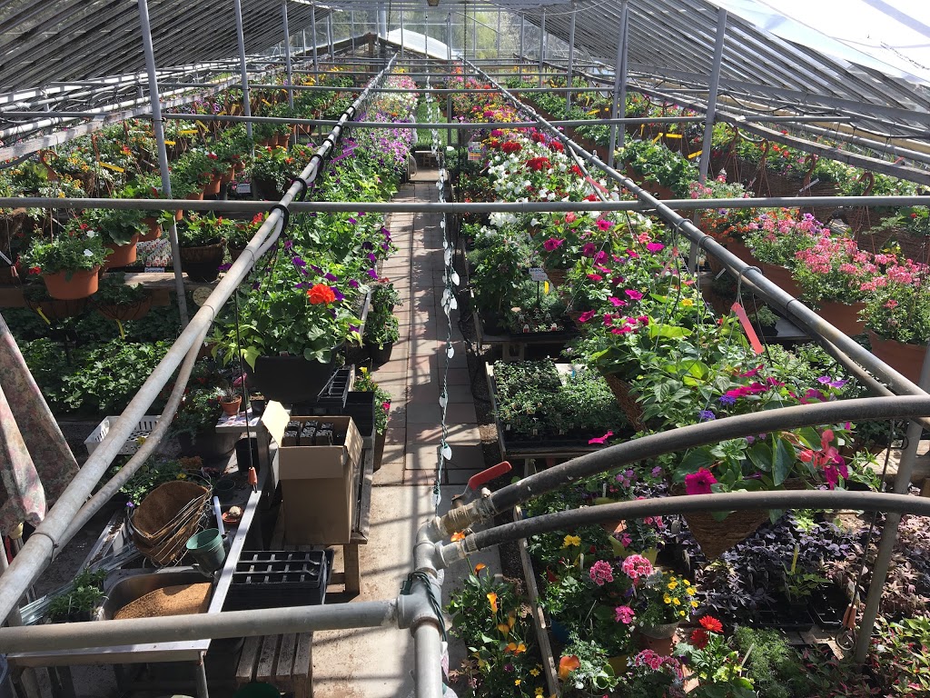Sebringville Garden Centre | 137 Huron Rd, Stratford, ON N5A 6S6, Canada | Phone: (519) 393-6131