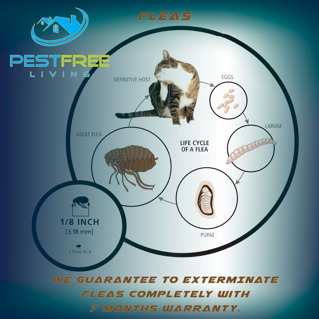 Pestfreeliving.ca | 12 Penelope St, Brampton, ON L6P 3H7, Canada | Phone: (416) 321-5060