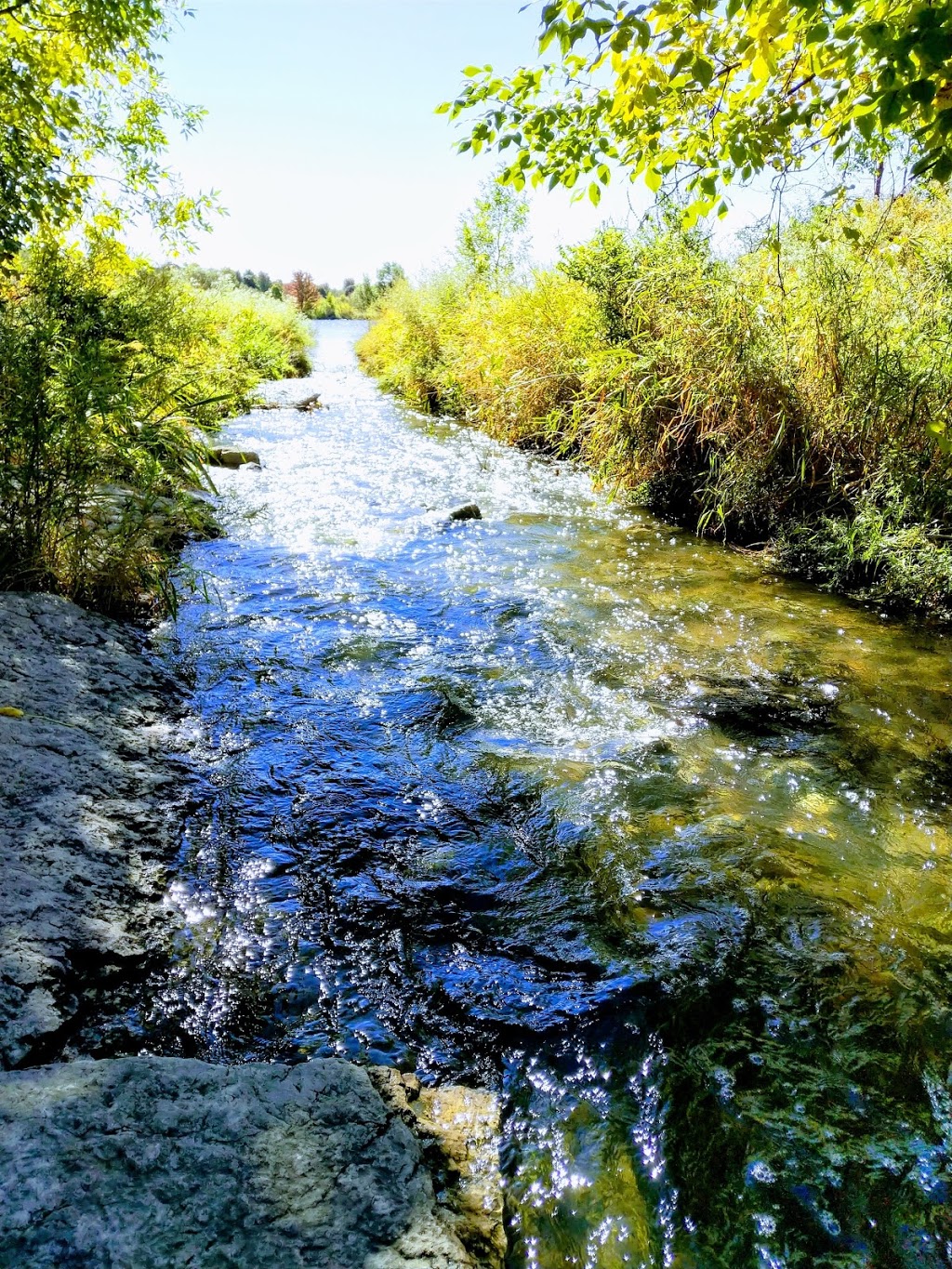 Osprey Marsh | 6076 Osprey Blvd, Mississauga, ON L5N 8K3, Canada