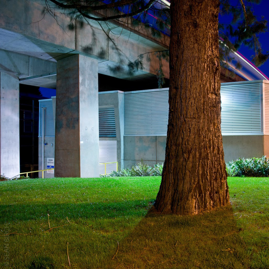 New Chelsea Society | 3640 Victoria Dr, Vancouver, BC V5N 5P1, Canada | Phone: (604) 874-6255