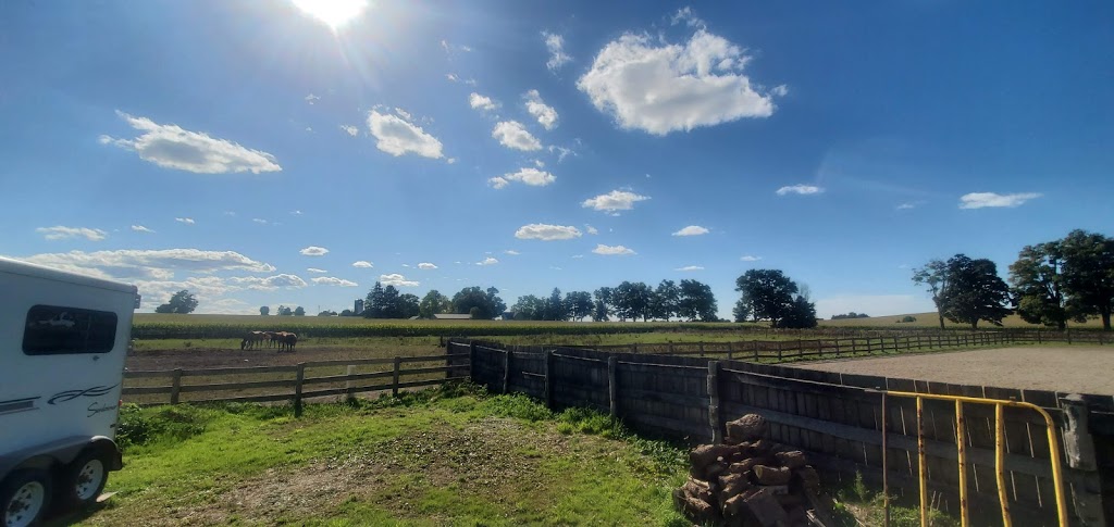Fieldstone Equestrian Center | 524494 Curry Rd, Beachville, ON N0J 1A0, Canada | Phone: (226) 921-6048