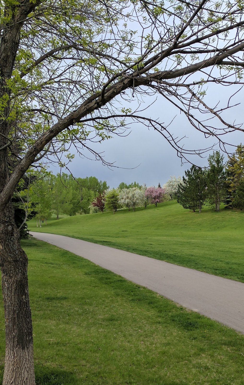 Varsity Ravine Park | 39 Varsity Ridge Terrace NW, Calgary, AB T3A 4Y2, Canada
