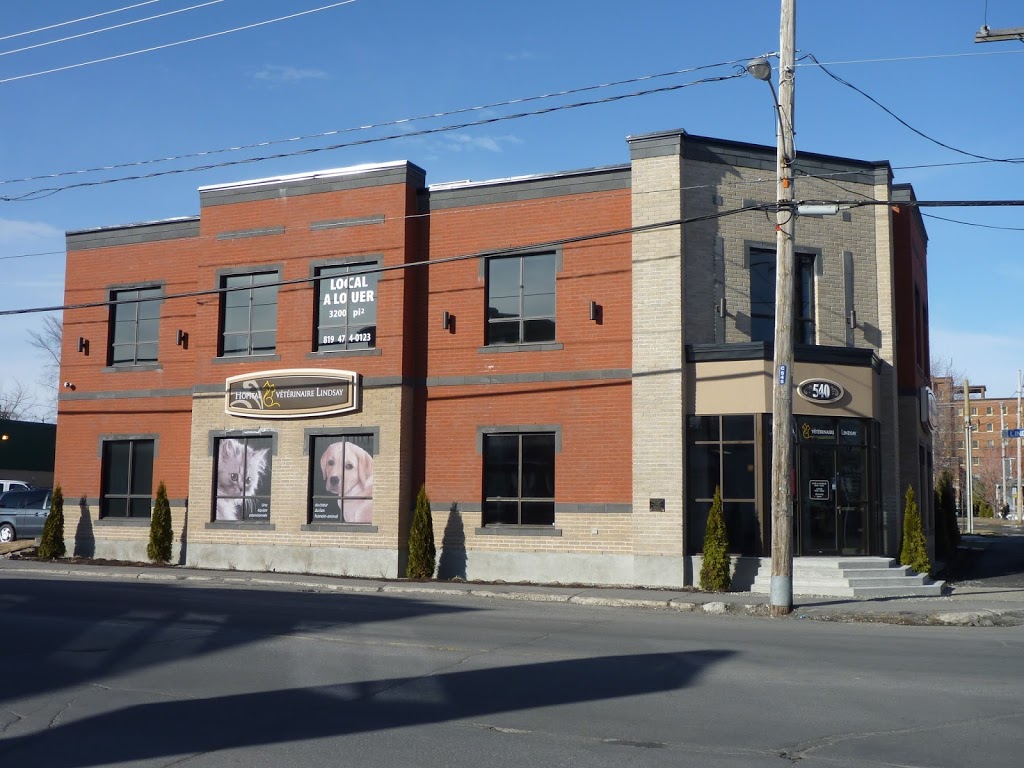 Lindsay Veterinary Hospital | 540 Rue Lindsay, Drummondville, QC J2B 1H4, Canada | Phone: (819) 474-0123