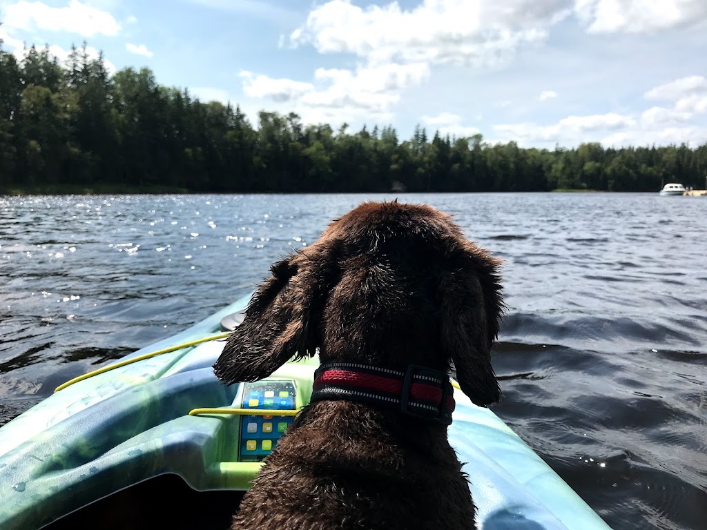 Paddles on Fortune River | 342 Rte 310, Souris, PE C0A 2B0, Canada | Phone: (902) 687-2800