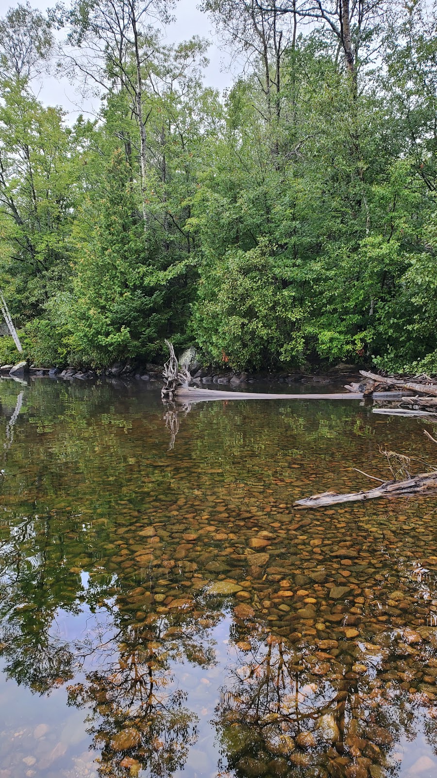 Driftwood Provincial Park - Brumm Campground | 301-253 Driftwood Park Rd, Stonecliffe, ON K0J 2K0, Canada | Phone: (613) 586-2553