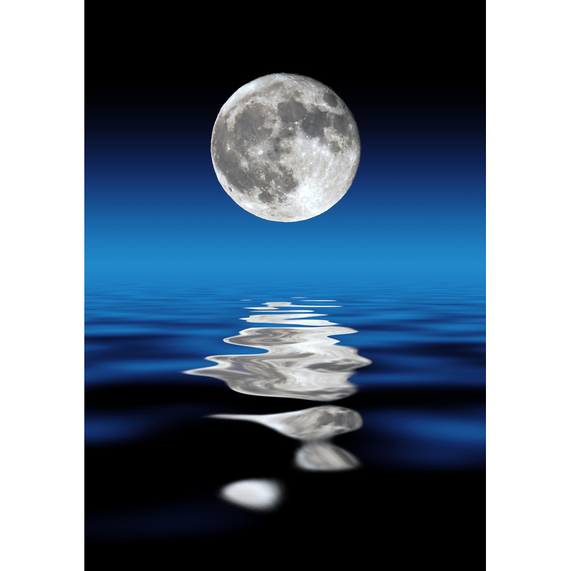 Vedic Moon Astrology | 4 Overlake Ct, Bellingham, WA 98229, USA | Phone: (360) 510-3028