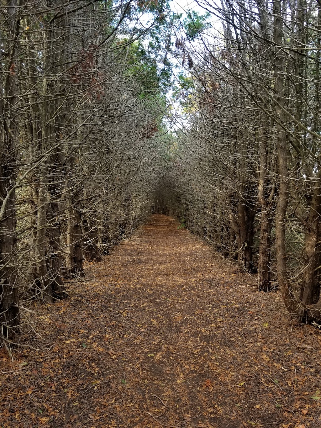 Falls Reserve Conservation Area | 80900 Falls Reserve Line, Goderich, ON N7A 3Y1, Canada | Phone: (519) 524-6429