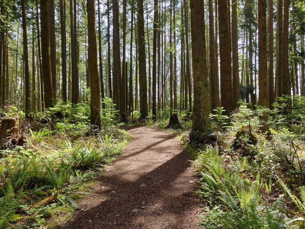 Golden Ears Park - Main Coral | Golden Ears Pkwy, Maple Ridge, BC V0M, Golden Ears Pkwy, Maple Ridge, BC V0M, Canada | Phone: (604) 466-8325