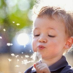 Four Seasons Montessori | 4960 Hammond Bay Rd, Nanaimo, BC V9T 5B4, Canada | Phone: (250) 758-8979