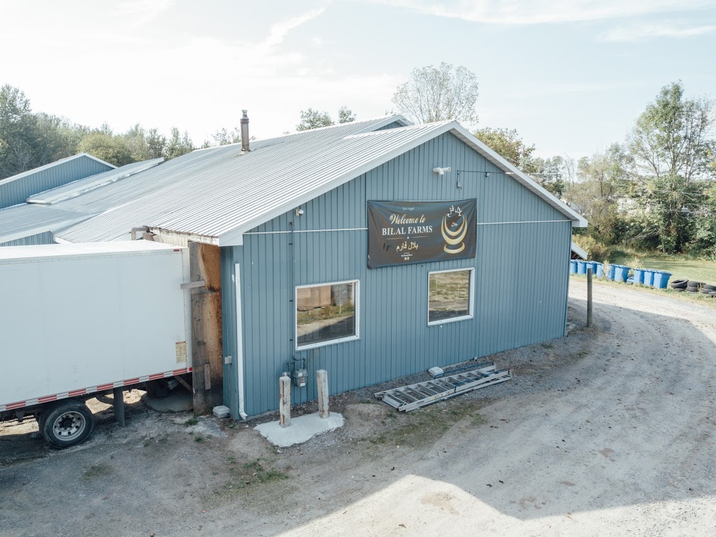 Bilal Farms | 1926 Landry St, Clarence Creek, ON K0A 1N0, Canada | Phone: (613) 796-8604