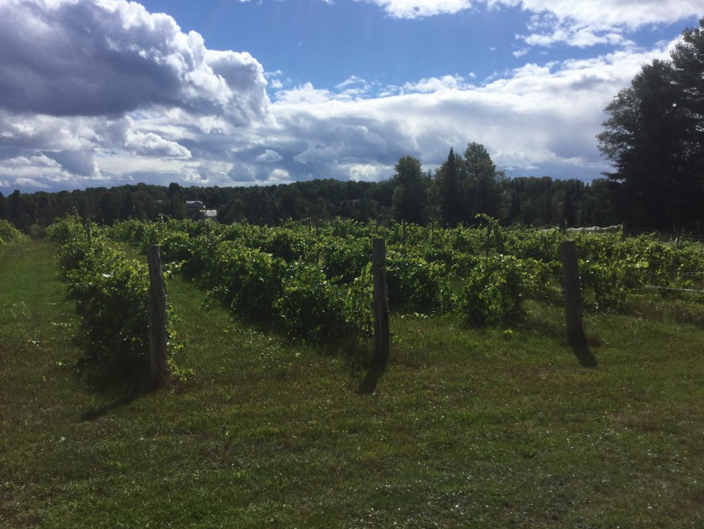 Domaine de Cawood | 853 Chem. de Cawood O, Danford Lake, QC J0X 1P0, Canada | Phone: (819) 422-2253