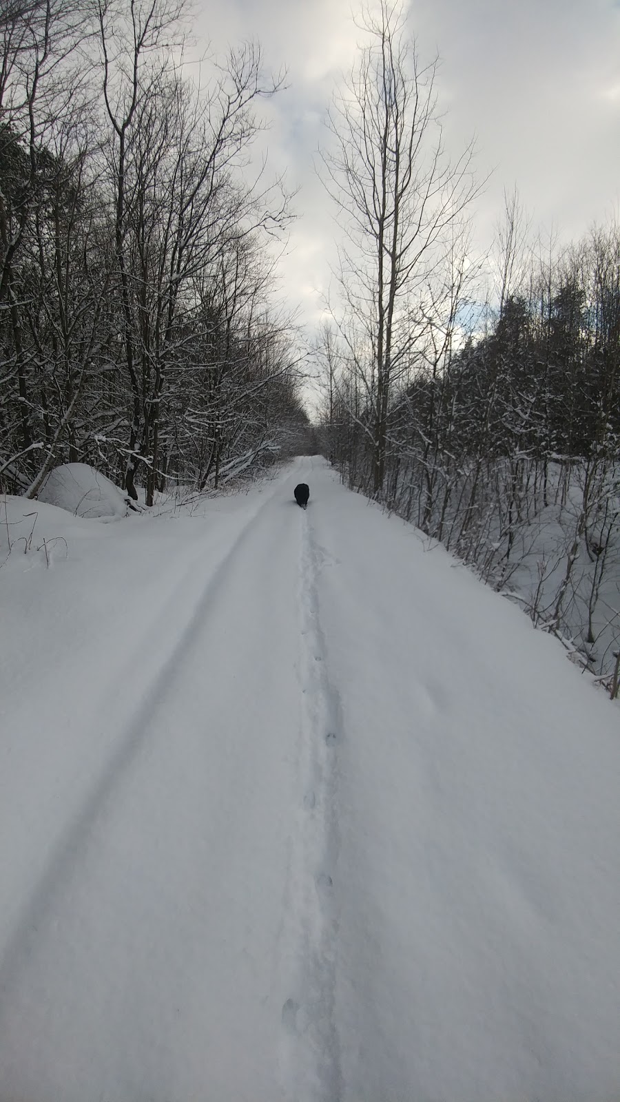 Résidence lEntre-Deux | 1235 Rang Landry, Saint-Valère, QC G0P 1M0, Canada | Phone: (819) 809-0253