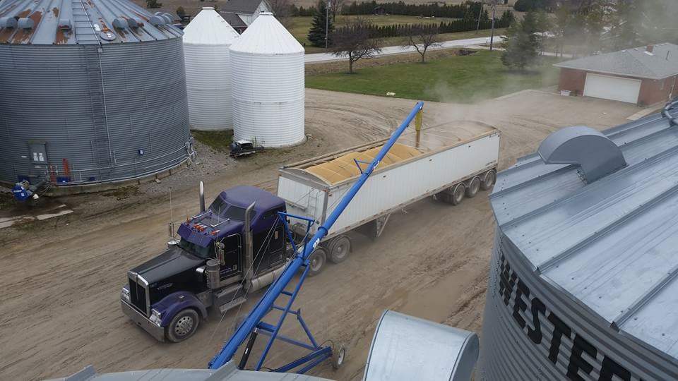 Chris J Dewhirst Trucking and Farms | 73 Cameron Side Rd E, Essex, ON N8M 2X5, Canada | Phone: (519) 818-3589