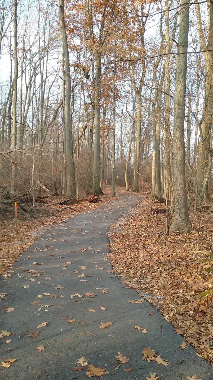 Spicer Creek Wildlife Preserve | 3071-3219 E River Rd, Grand Island, NY 14072, USA