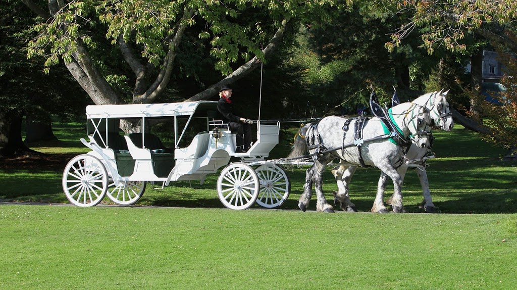 Stanley Park Horse-Drawn Tours | travel agency | 735 Stanley Park Dr, Vancouver, BC V6C 2T1, Canada | 6046815115 OR +1 604-681-5115