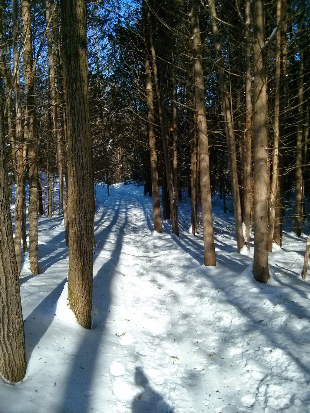 Allan Park Conservation Area | 301820 Concession Rd 2 SDR, Hanover, ON N4N 3B8, Canada | Phone: (519) 367-3040