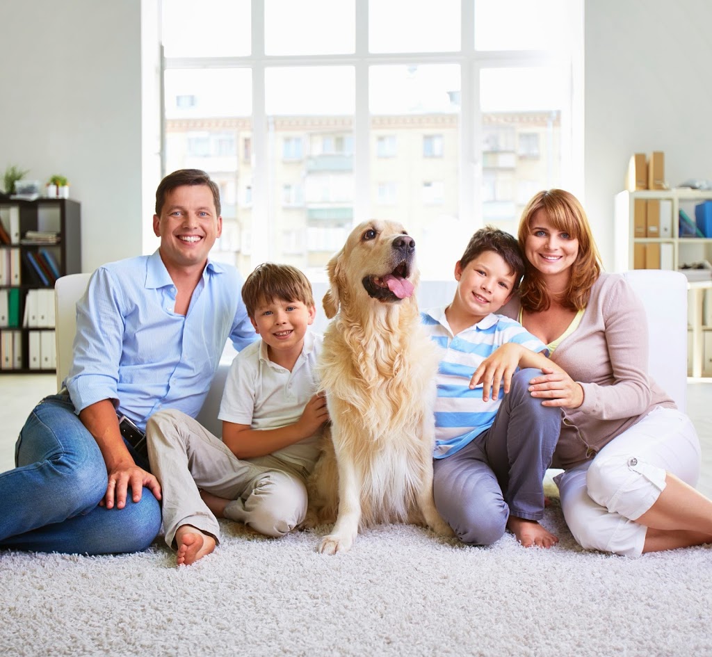 Power Steam Carpet & Upholstery Cleaning | 3919 Brodsky Avenue #20, Saskatoon, SK S7P 0C9, Canada | Phone: (306) 931-7300