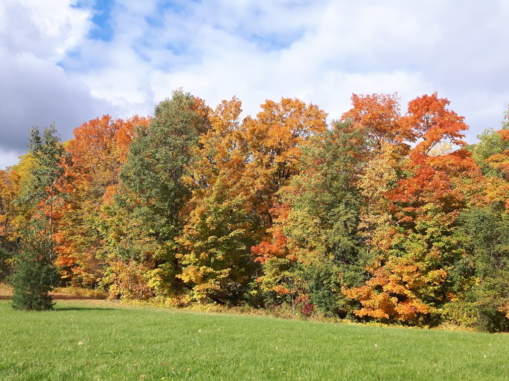 Duncan Creek Park | 3700 Don Mills Rd, North York, ON M2H 3J7, Canada | Phone: (416) 338-4386