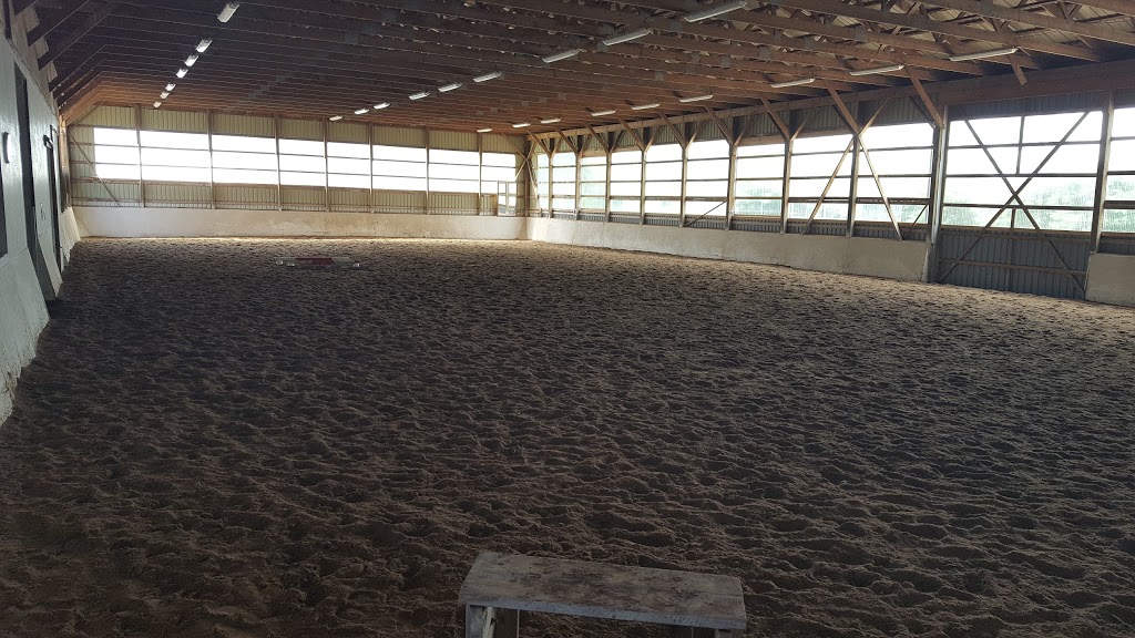 MJ Equestrian | 9998 Garrard Rd, Oshawa, ON L1H 7K4, Canada | Phone: (647) 203-9568