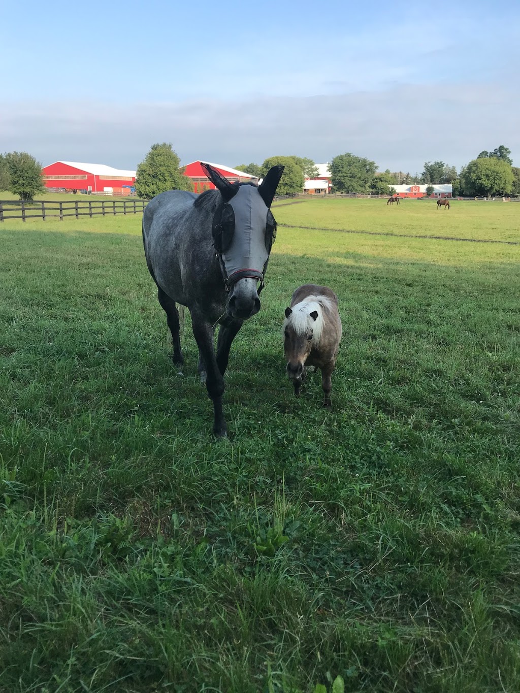 Trailwood Farms | 15276 Dixie Rd, Inglewood, ON L7C 2M3, Canada | Phone: (519) 803-8683